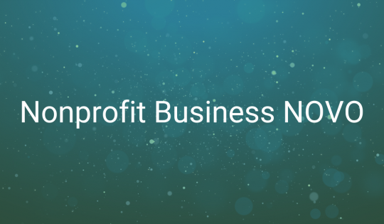 Nonprofit Business NOVO 